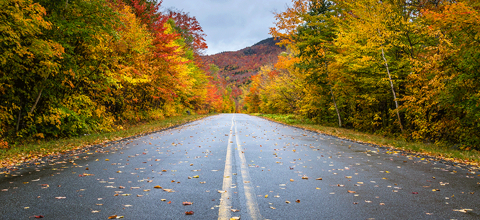 fallroad